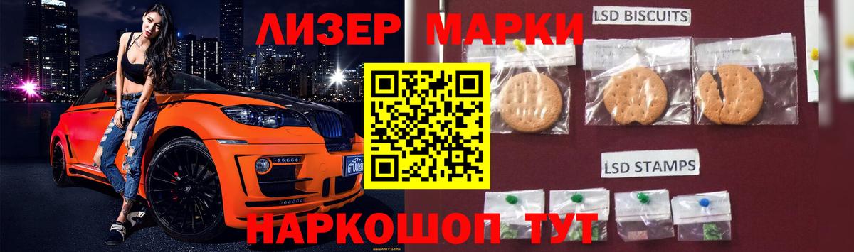 A PVP Бирск