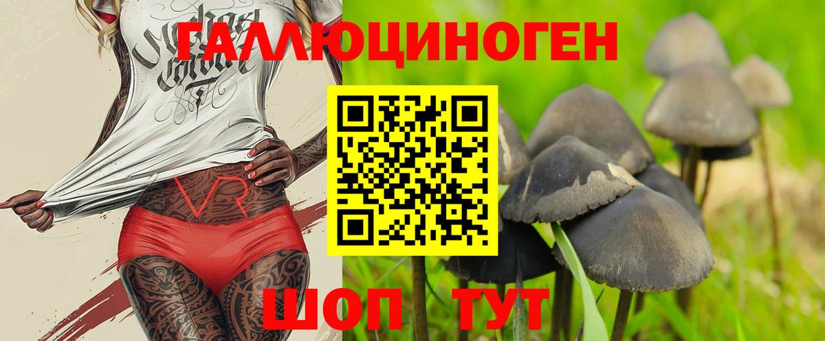 Галлюциногенные грибы мухоморы Бирск