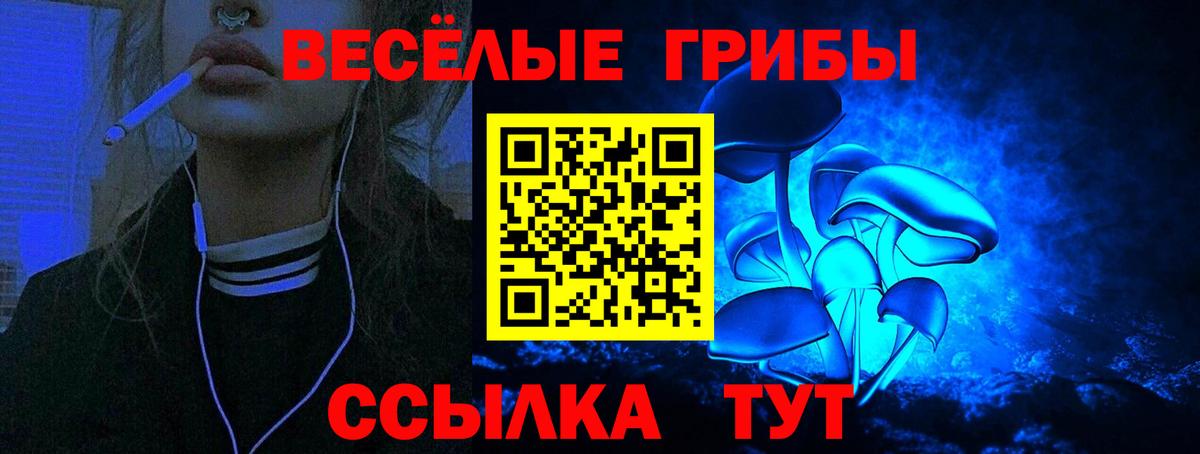 Бирск  Галлюциногенные грибы Cubensis  Вход с VPN 